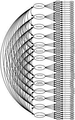 Validity and reliability of the Chinese version of the Young Positive Schema Questionnaire